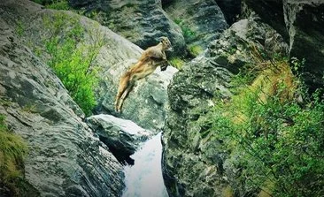 Great Himalayan National Park