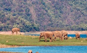 Rajaji National Park
