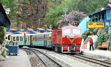 Kasauli Tour Package